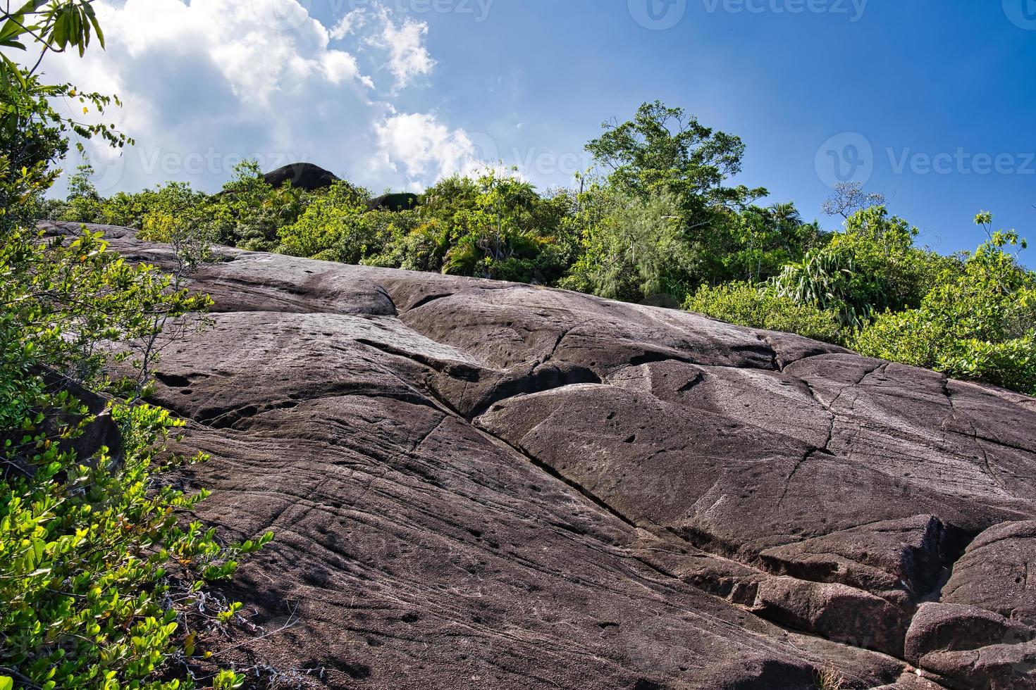 anse principal natureza trilha enorme Rocha pedregulhos e coco ameixa árvores, mahe seychelles foto