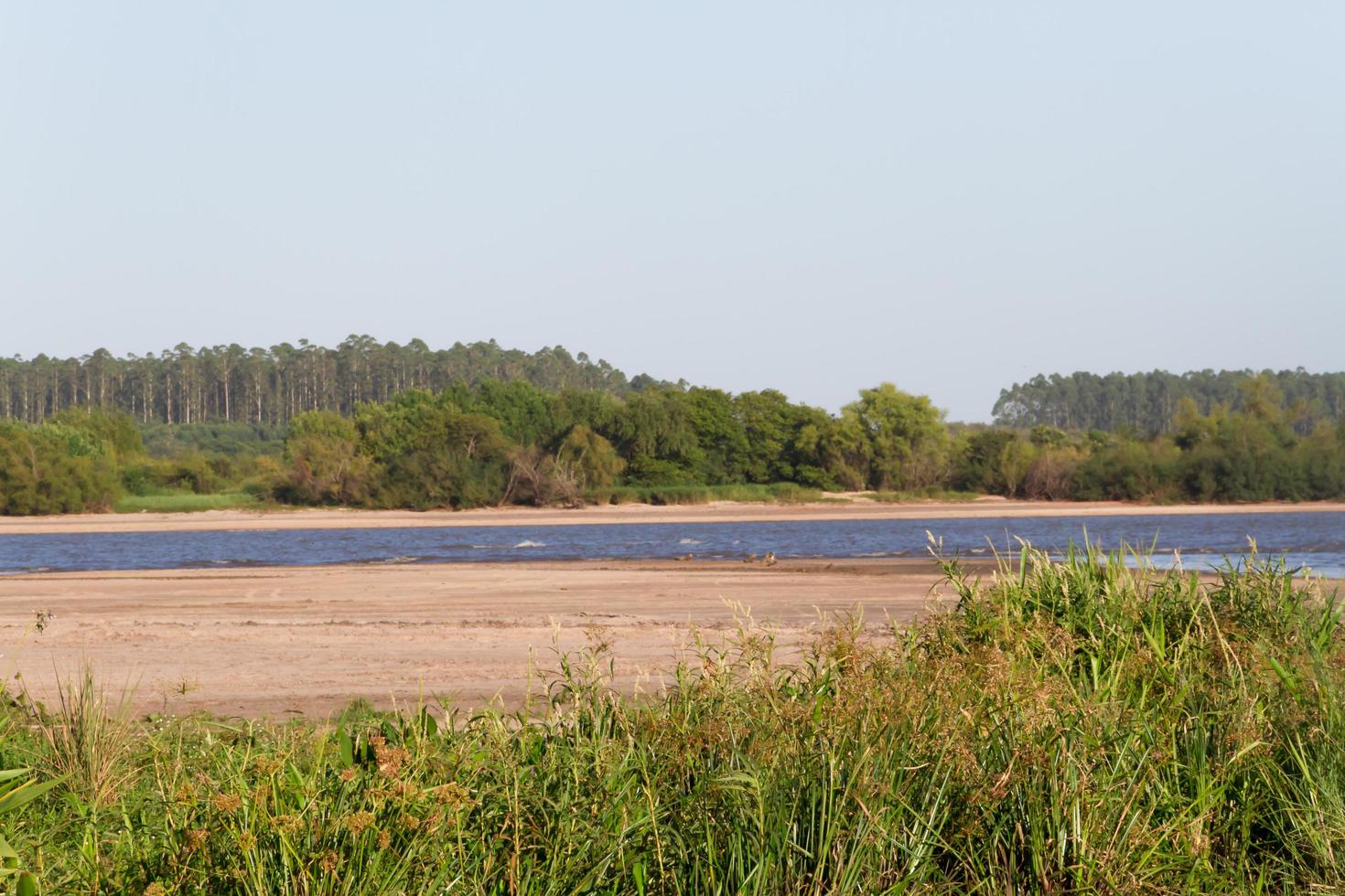 verão panorama em a bancos do a rio dentro a cidade do federação província do entre rios Argentina foto