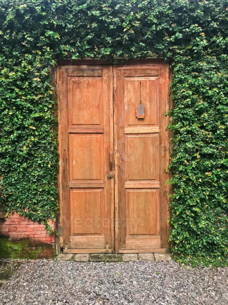 de madeira porta e isolado com videiras por aí eles foto