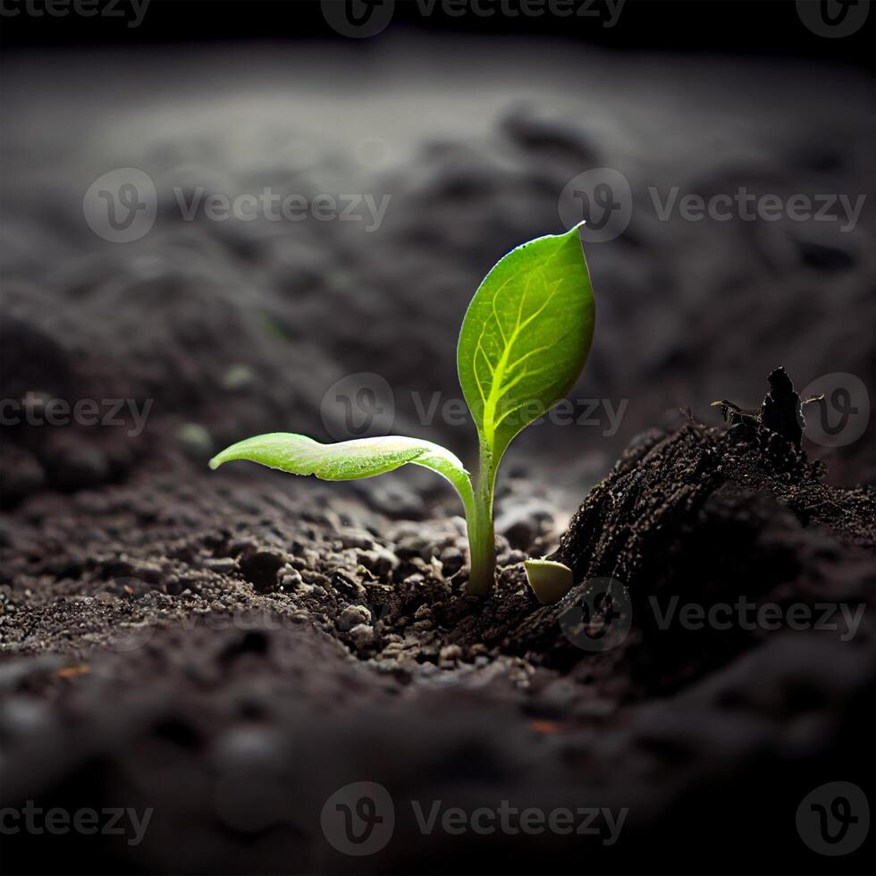 a crescimento do uma Novo plantar dentro a solo do a terra, de Meio Ambiente Cuidado, verde energia - ai gerado imagem foto