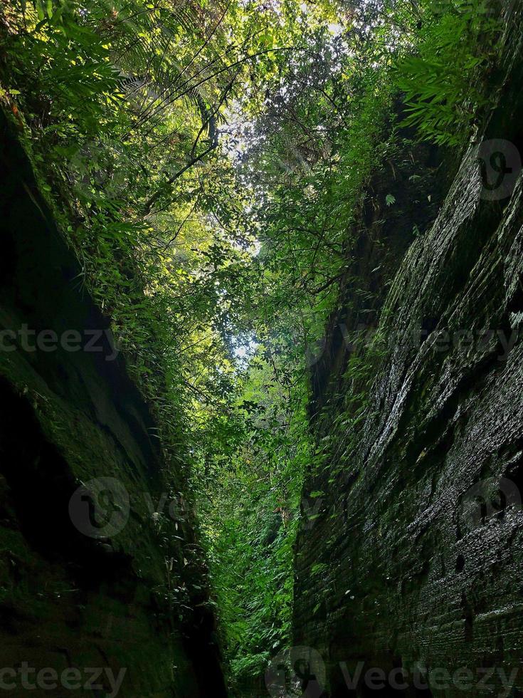 todos guha Colina rastrear às bandarban ,Bangladesh foto