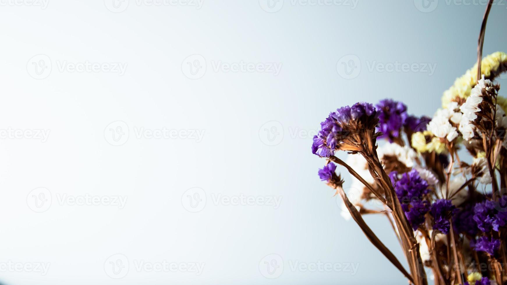 ramalhete do seco flores em uma branco fundo. seletivo foco. foto