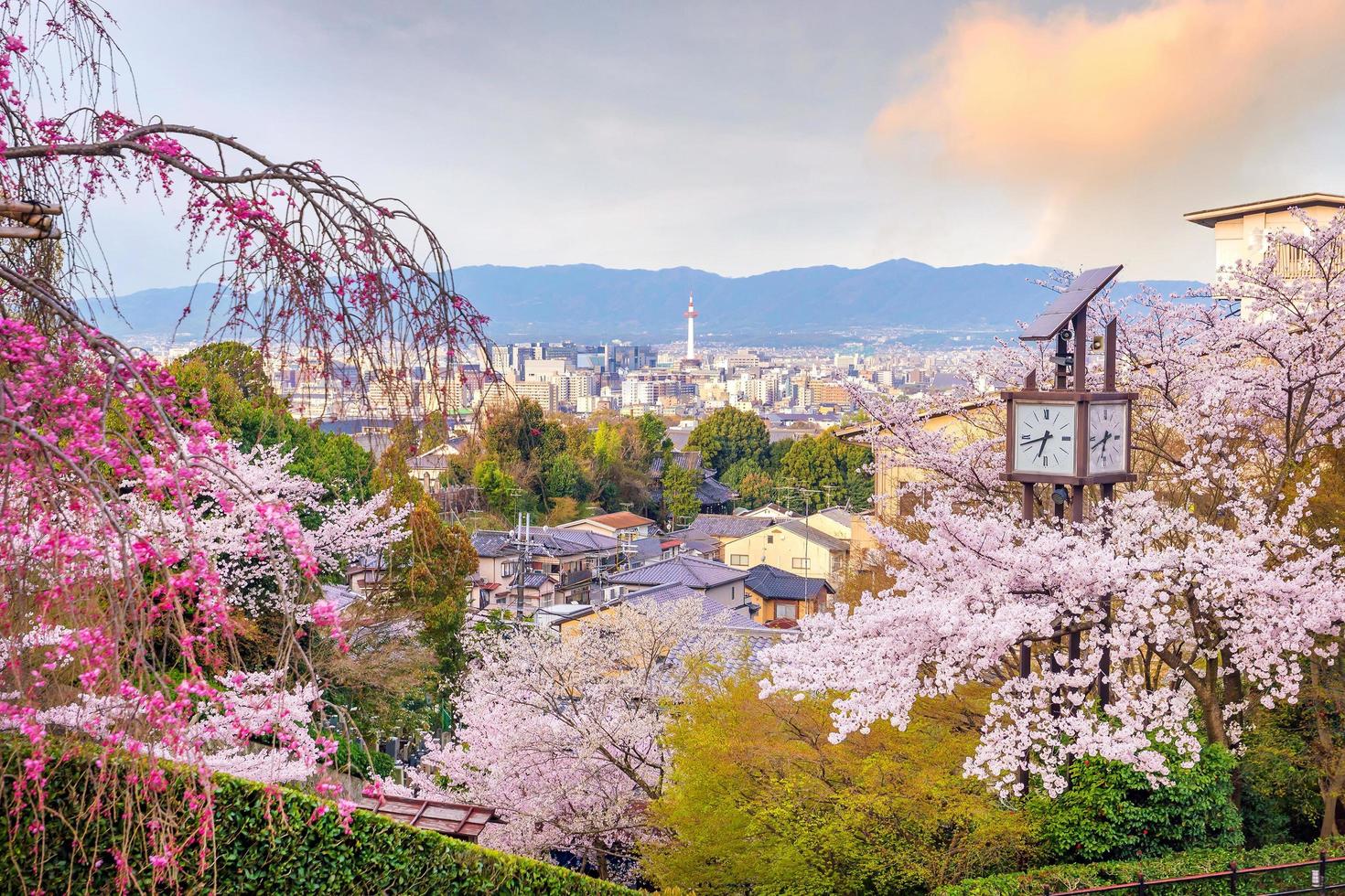 horizonte da cidade de kyoto com sakura foto