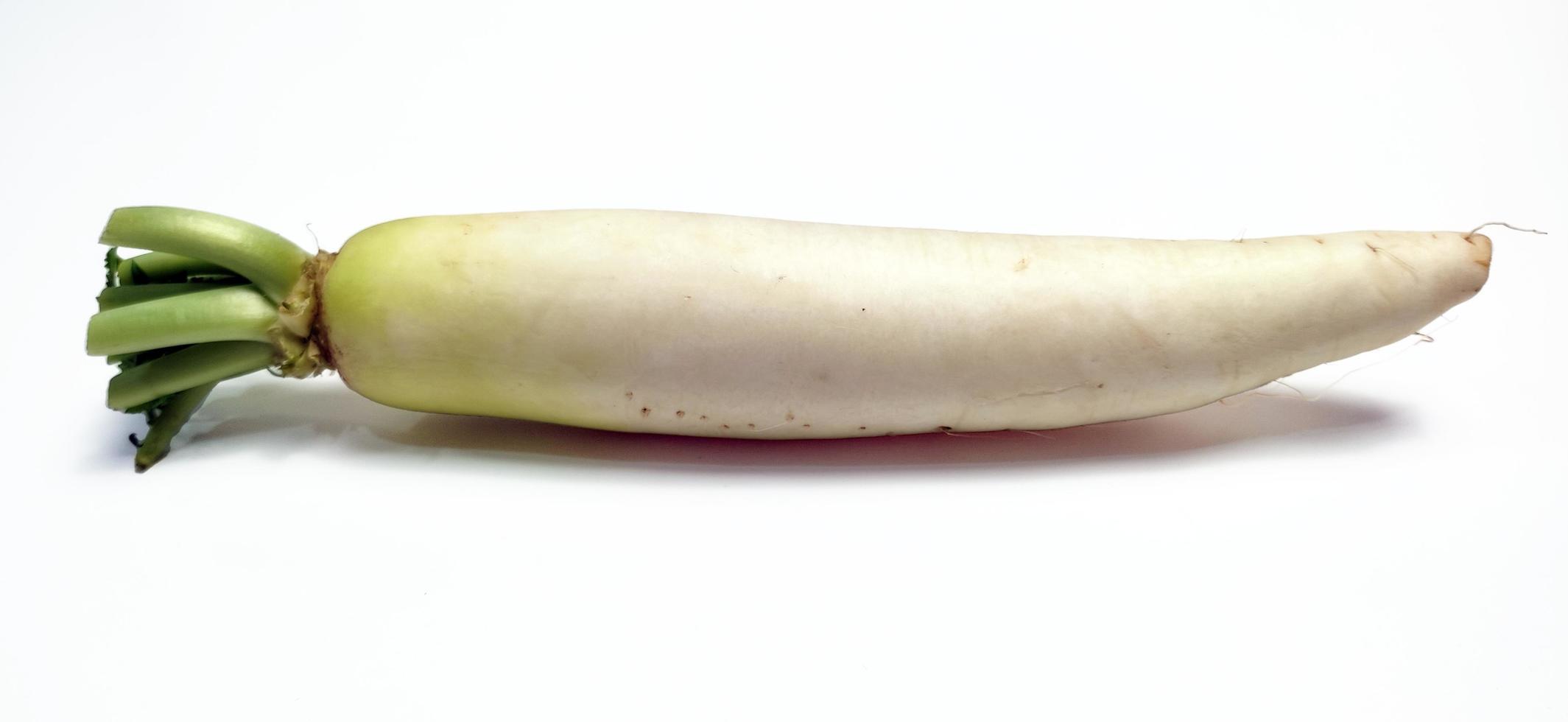 branco rabanete ou daikon isolado dentro branco fundo foto