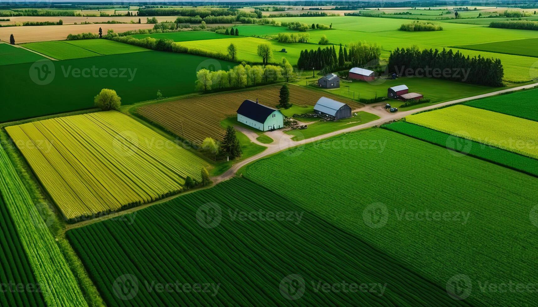 generativo ai, Fazenda paisagem, agrícola Campos, lindo interior, país estrada. natureza ilustração, fotorrealista topo Visão drone, horizontal bandeira. foto