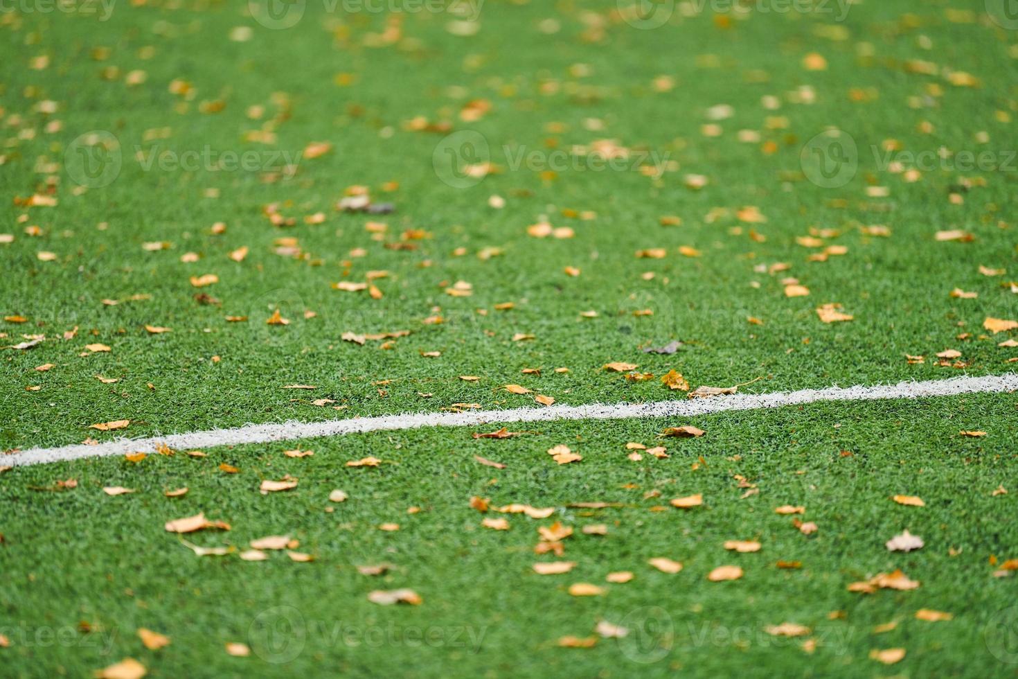 grama artificial, cobertura de campo esportivo foto