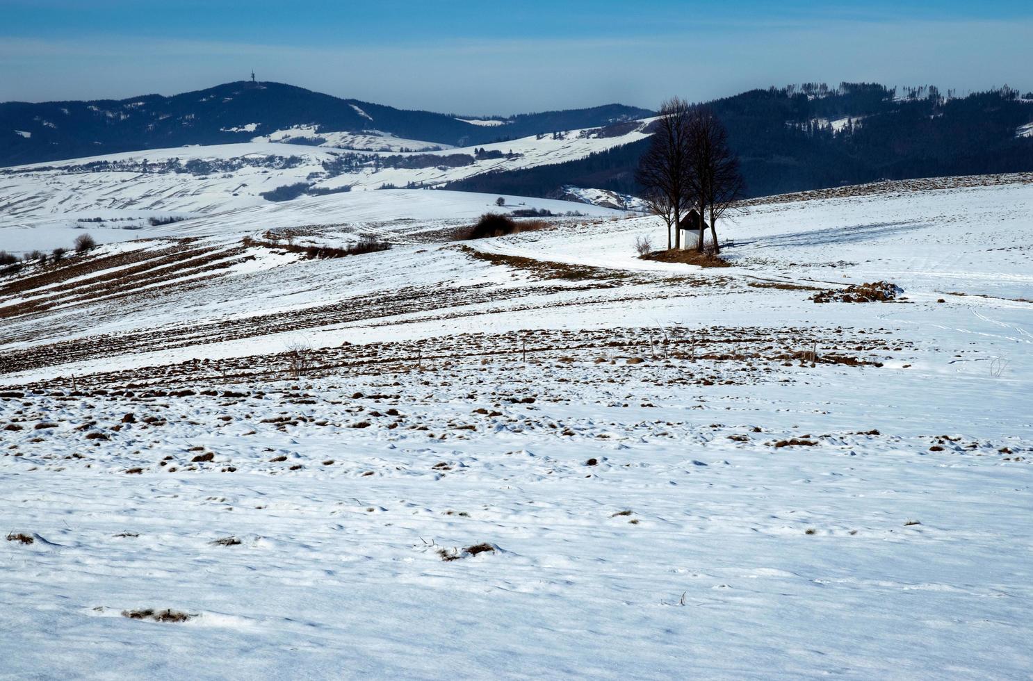 paisagem de inverno com neve derretida foto