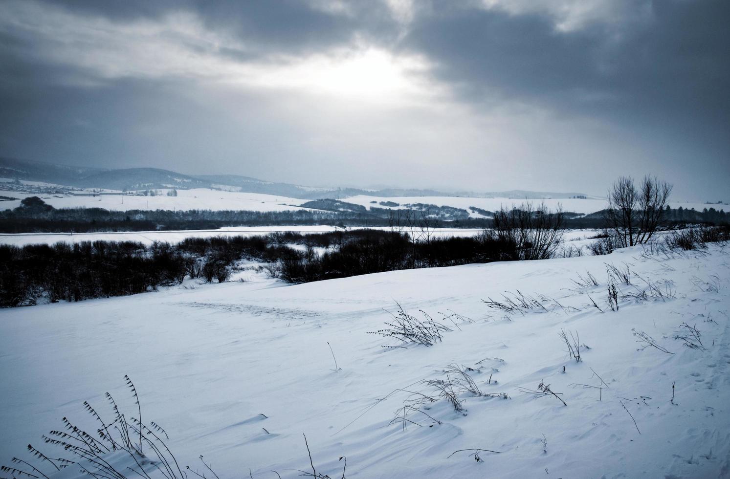 Paisagem sombria de inverno com neve foto