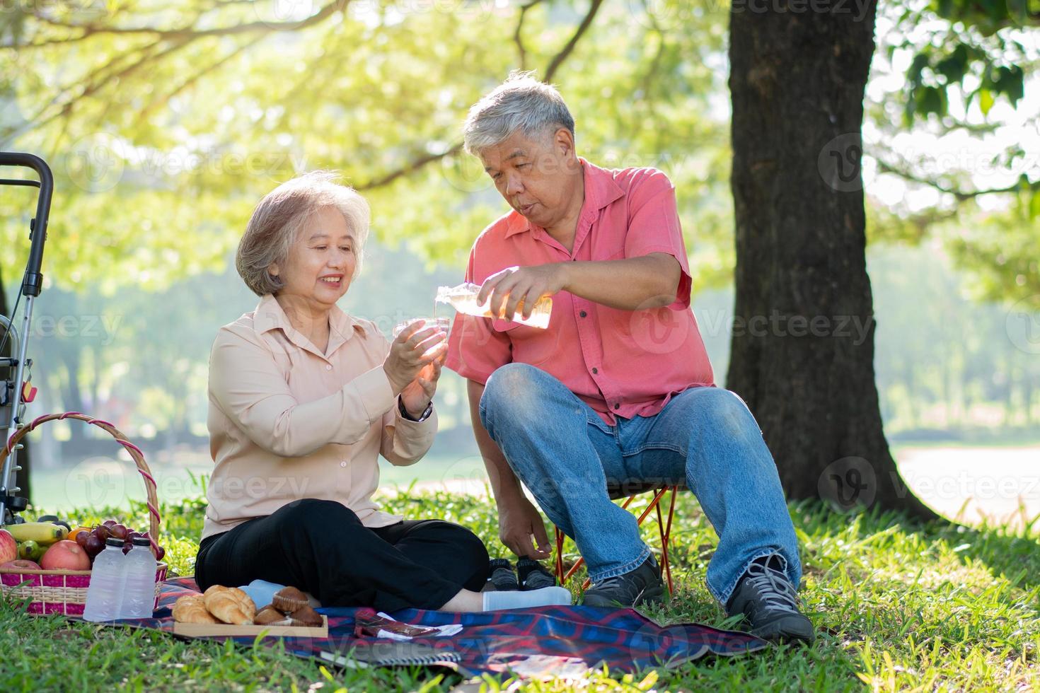 Felizes velhos cônjuges de casal de idosos relaxando e sentados em um cobertor no parque e compartilhando algumas memórias preciosas. casal sênior se divertindo juntos em um piquenique. conceito de relacionamentos maduros foto