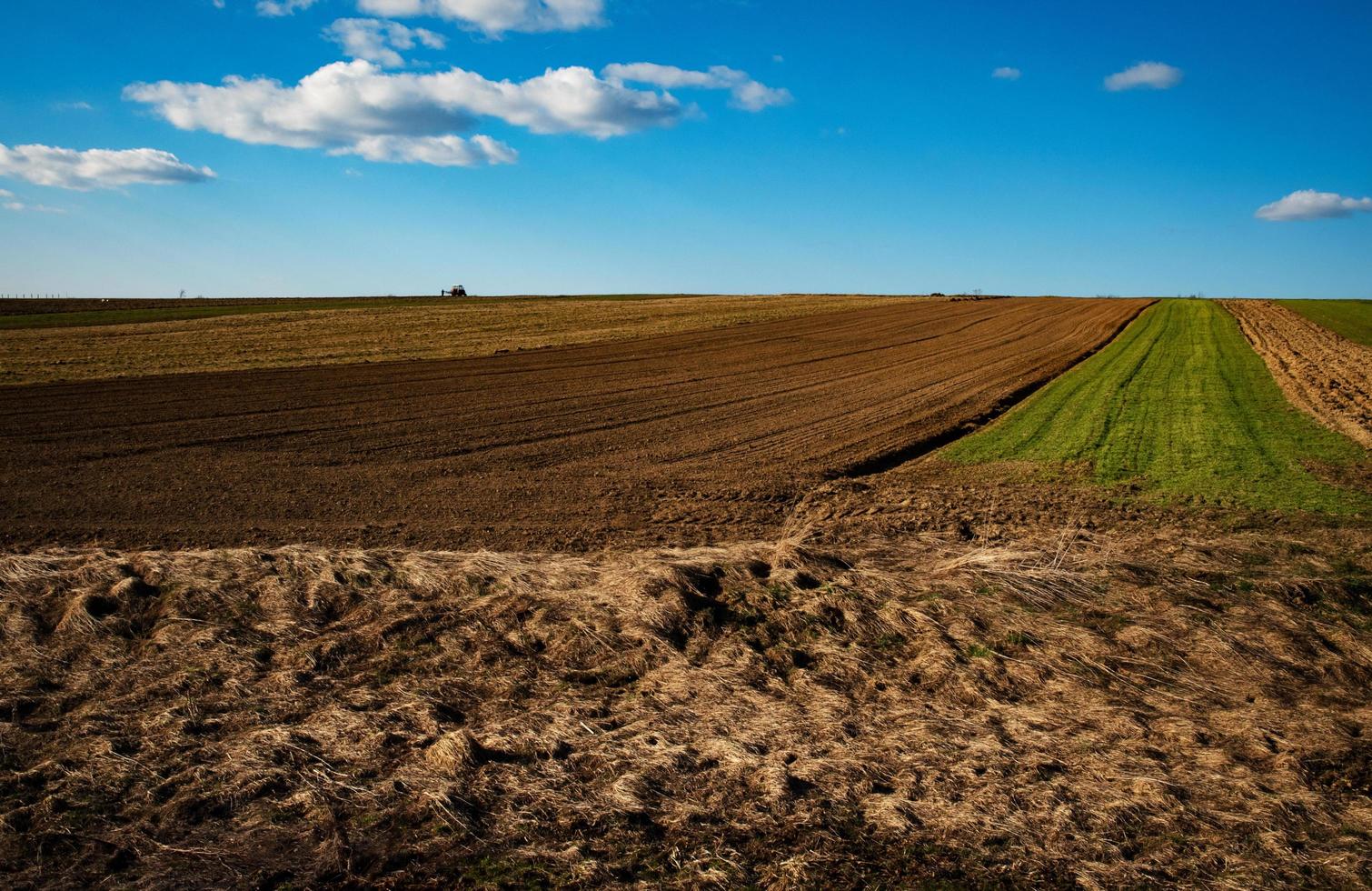 campo de agricultura durante o dia foto