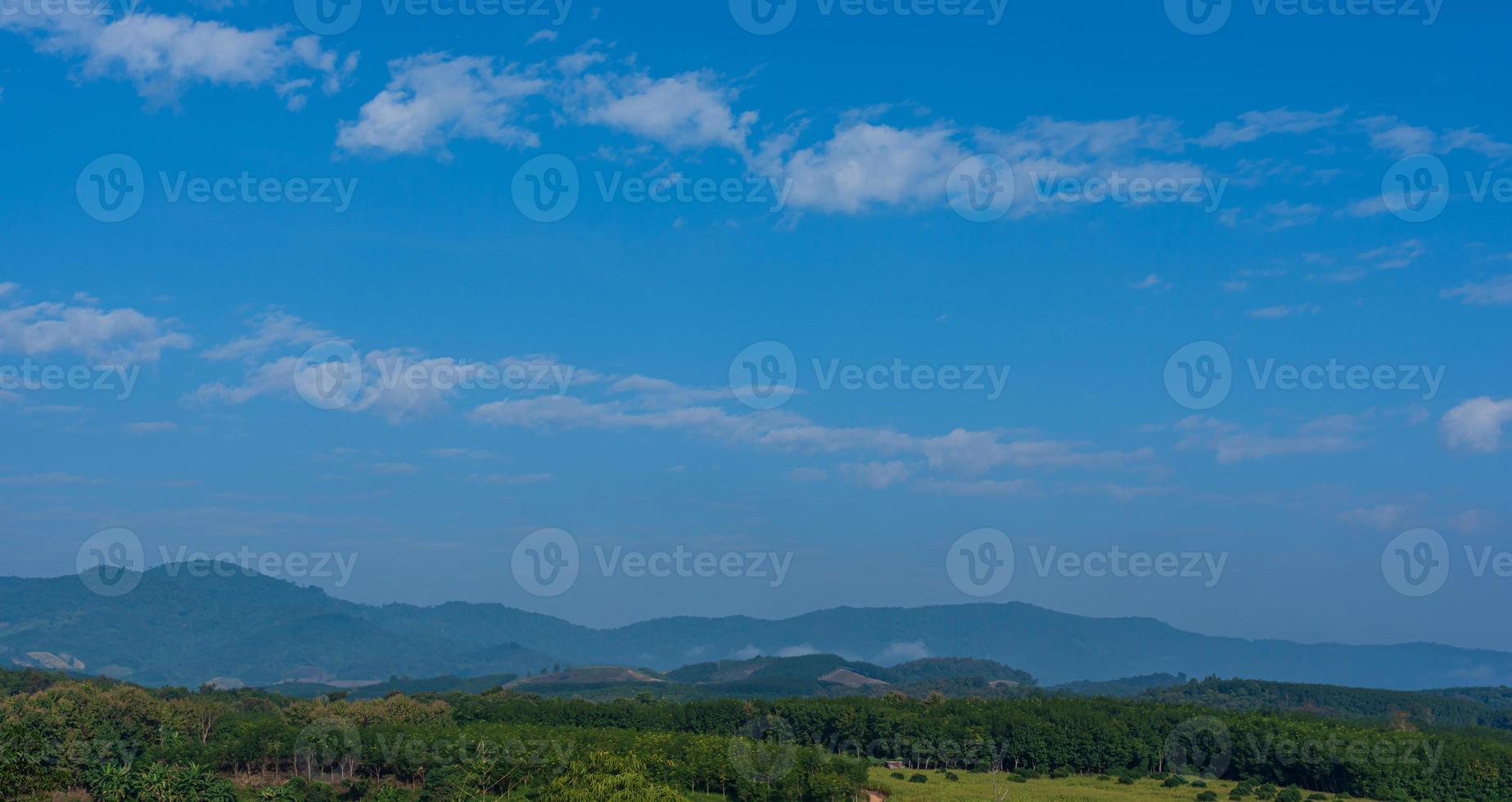 verde árvores contra a azul céu e branco nuvens flutuador dentro a céu em uma Claro dia foto