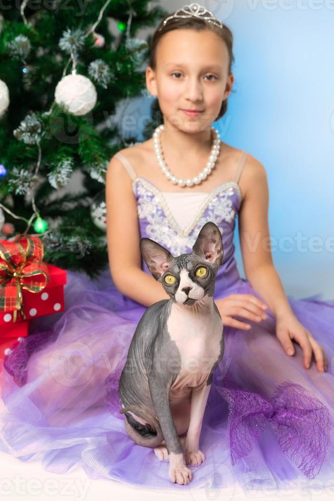 sphynx gato olhando às Câmera, sentado perto menina dentro roxa vestir em fundo do Natal árvore foto