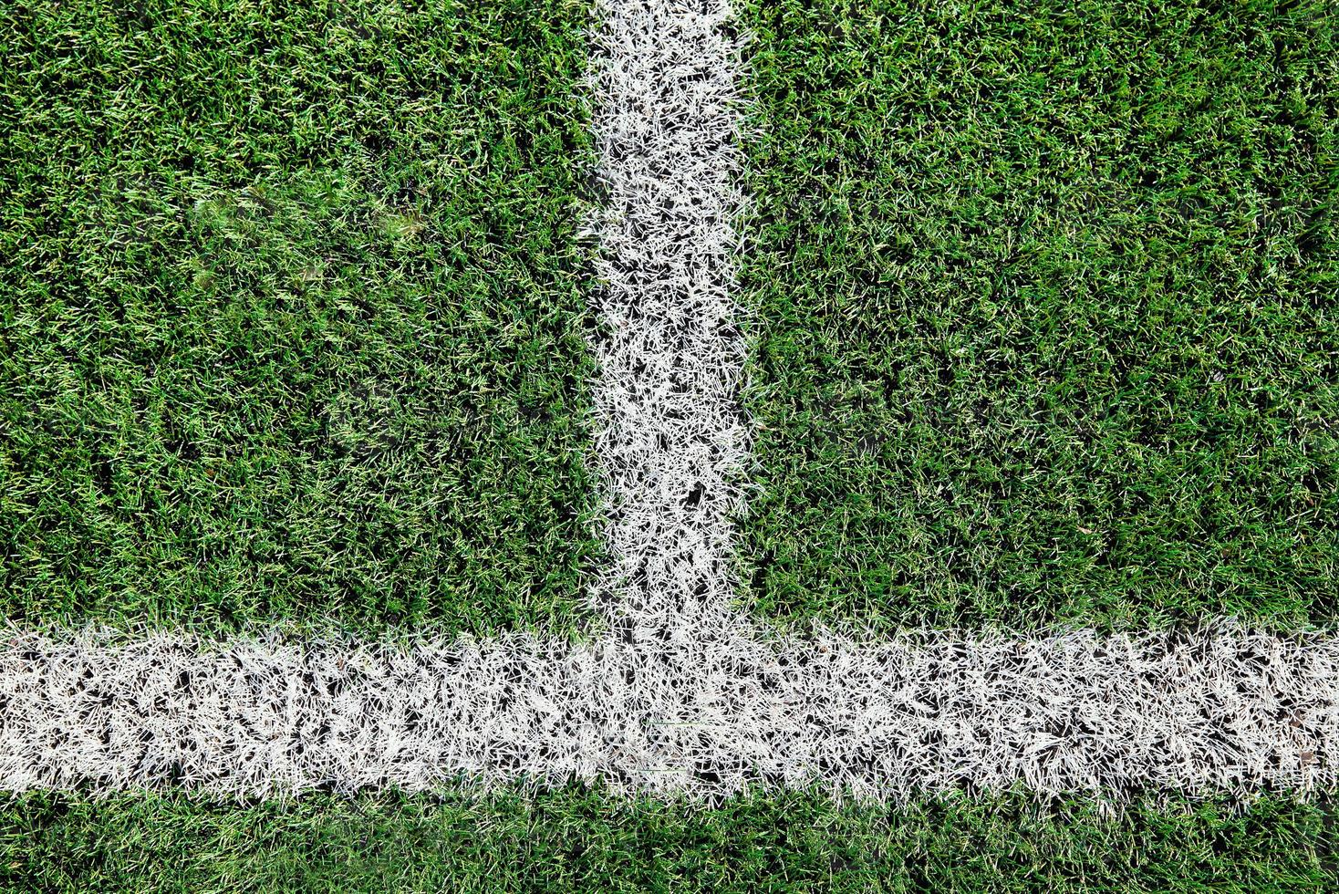 verde Relva em esporte campo com branco linha foto