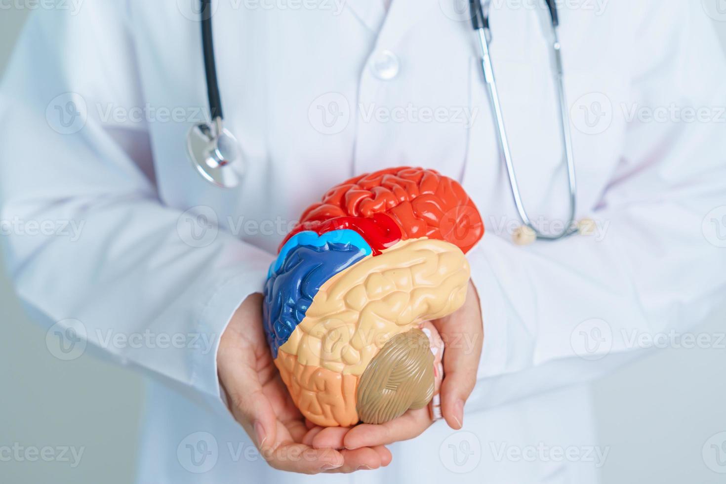 médico segurando humano cérebro modelo. mundo cérebro tumor dia, cérebro AVC, demência, Alzheimer, Parkinson e mundo mental saúde conceito foto