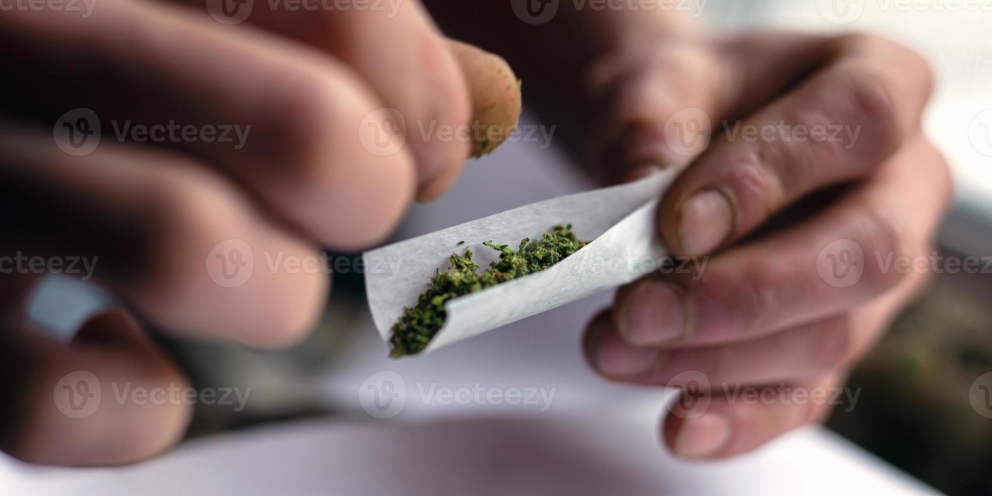 pessoa enrolando um baseado de cannabis foto