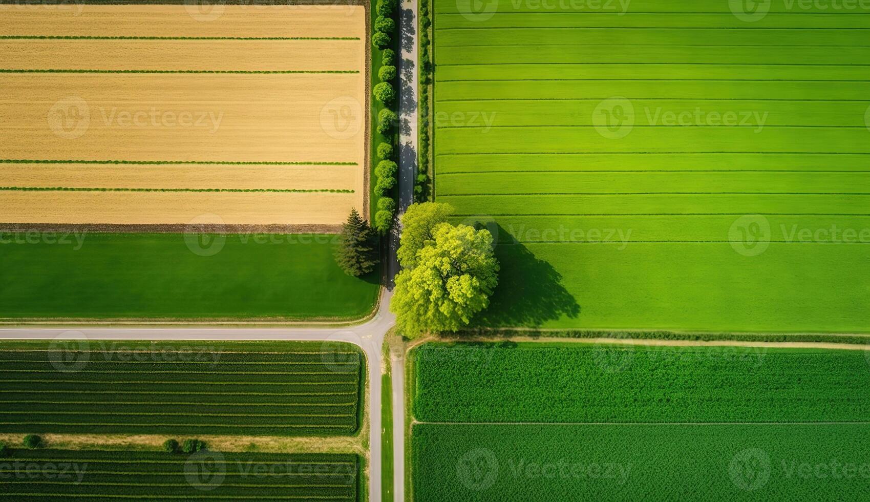 generativo ai, Fazenda paisagem, agrícola Campos, lindo interior, país estrada. natureza ilustração, fotorrealista topo Visão drone, horizontal bandeira. foto