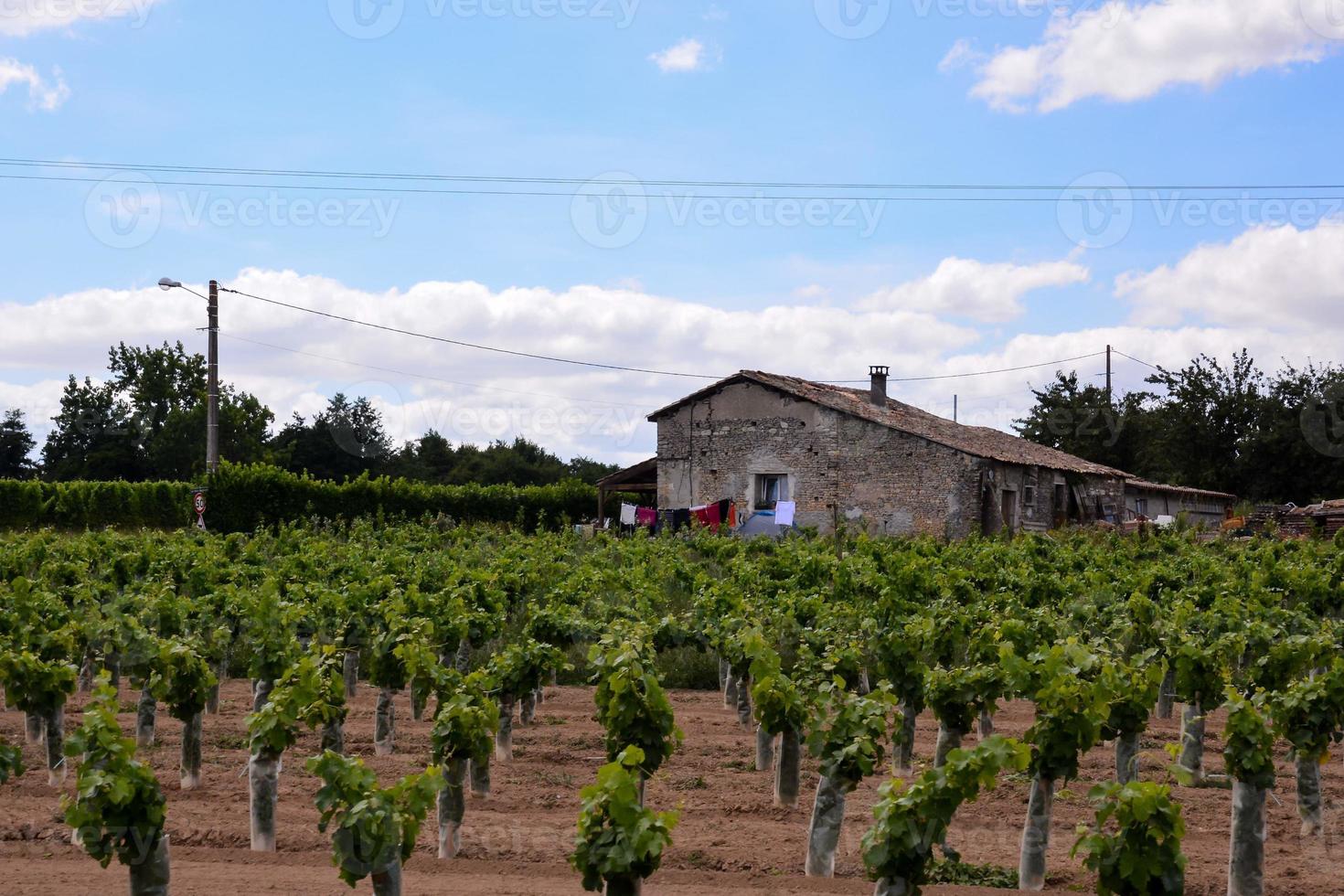 cênico rural panorama foto