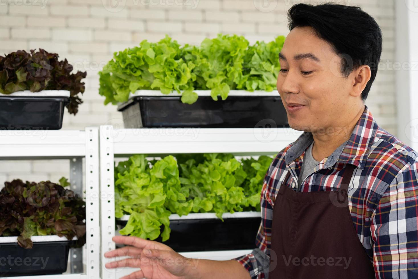 ásia verdureiro vendendo fresco orgânico verde alface em local mercado foto