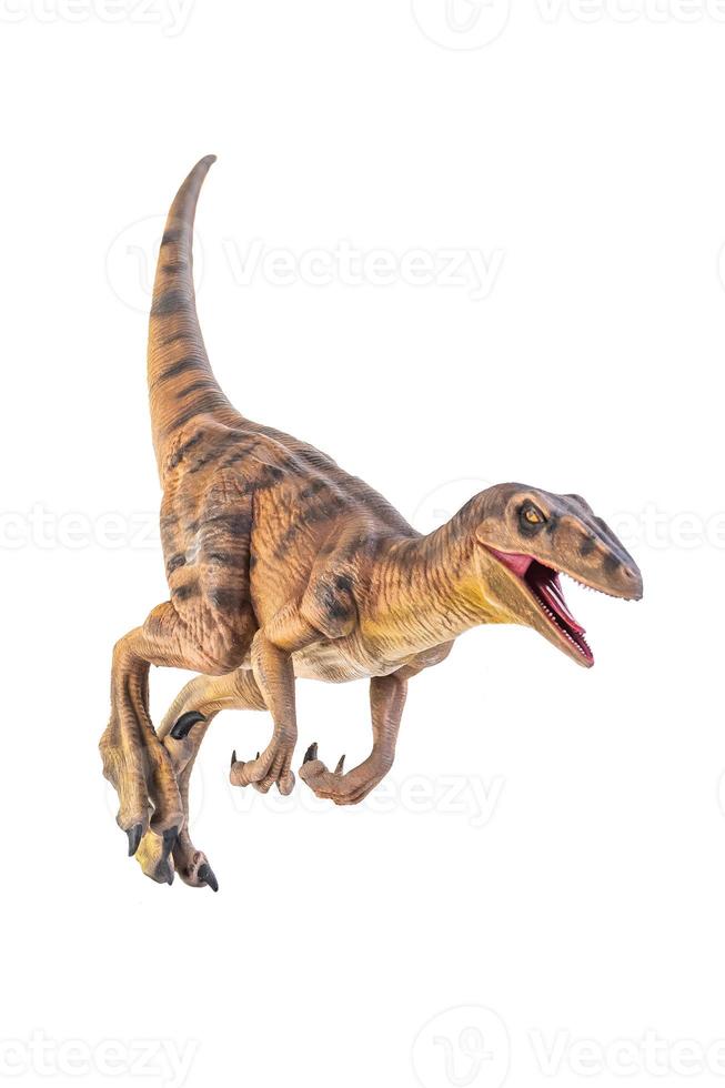 dinossauro , velociraptor isolado fundo foto