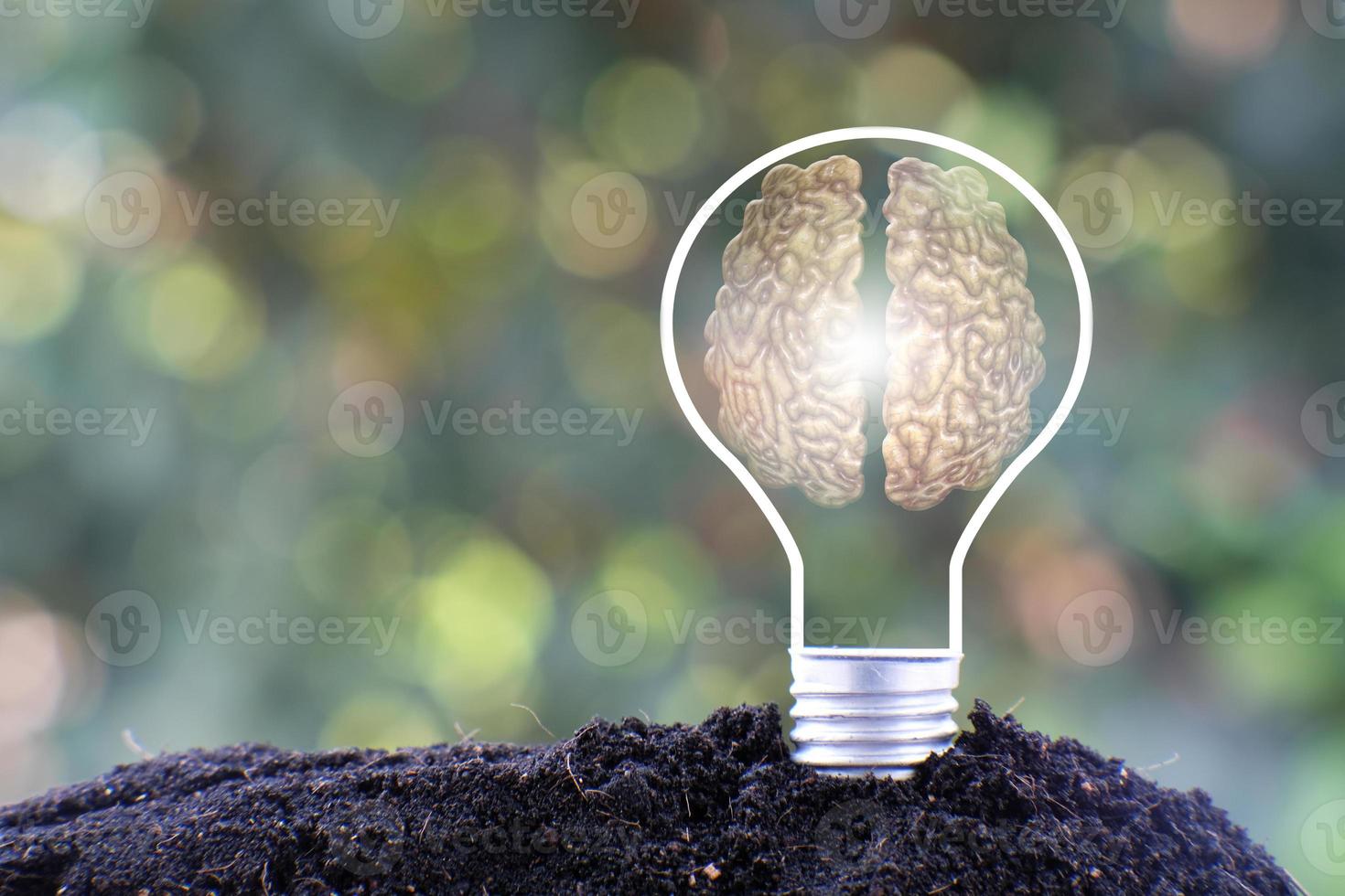lâmpada economizadora de energia e conceito de crescimento empresarial ou empresarial foto