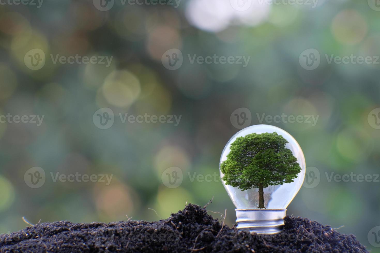 lâmpada economizadora de energia e conceito de crescimento empresarial ou empresarial foto