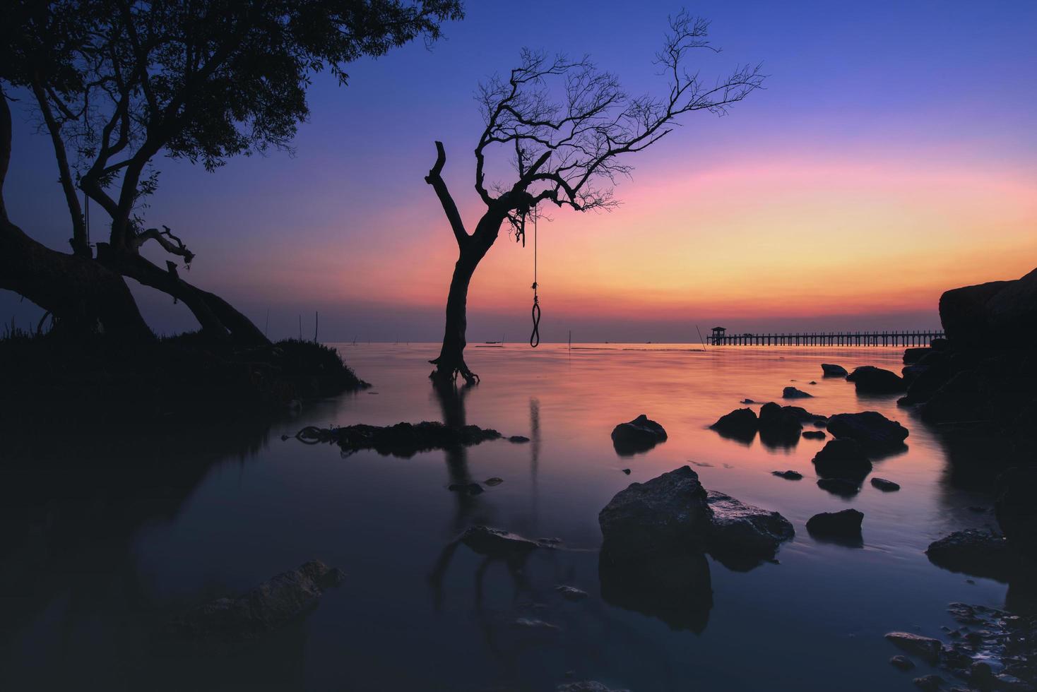 silhueta de uma árvore ao pôr do sol foto