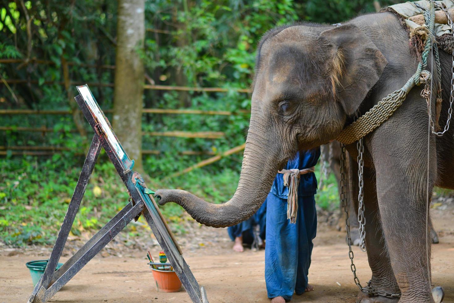 Chiang maio, tailândia, outubro 2014, elefante é pintura uma cenário às elefante acampamento. Chiang maio, Tailândia em Outubro 15, 2014. foto