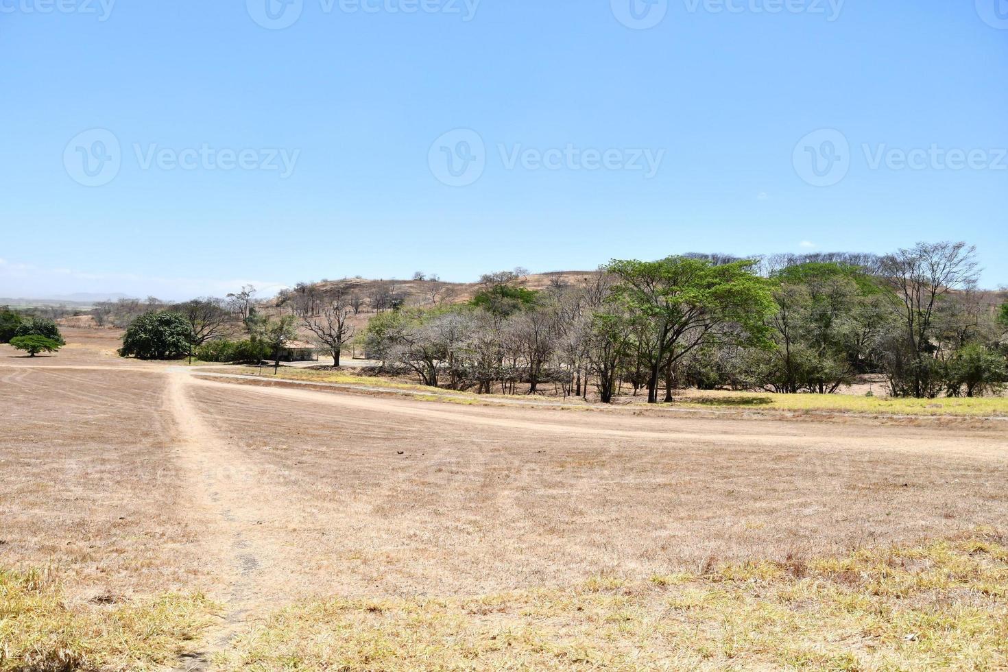 cênico rural panorama foto