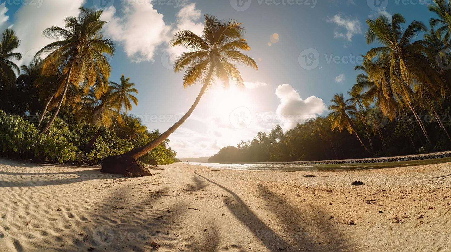 tropical paraíso ou coco Palma de praia ou branco areia lagoa foto