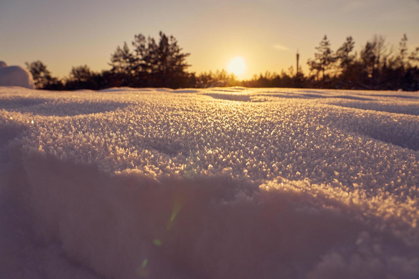 neve em primeiro plano em uma noite gelada de inverno ao pôr do sol foto