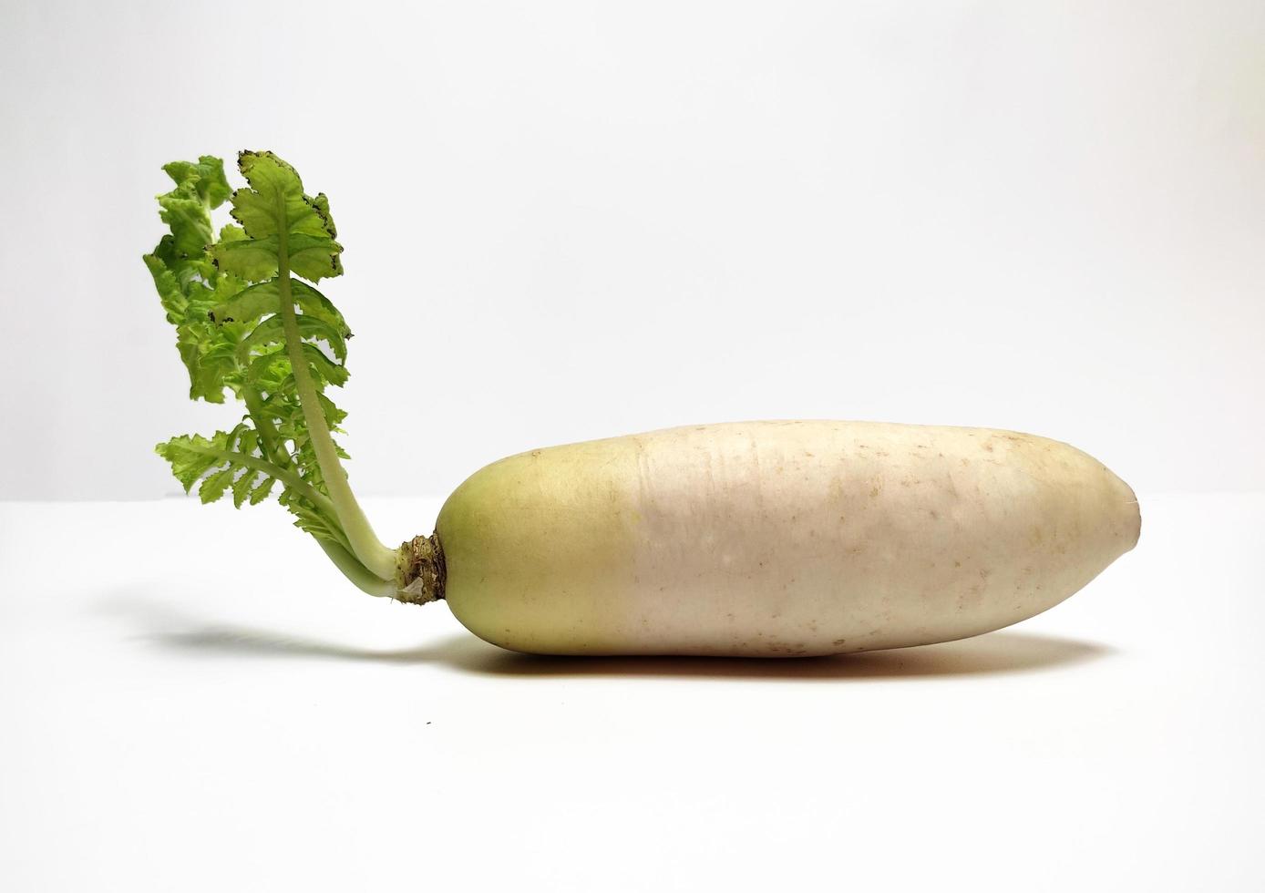 branco rabanete ou daikon isolado dentro branco fundo foto