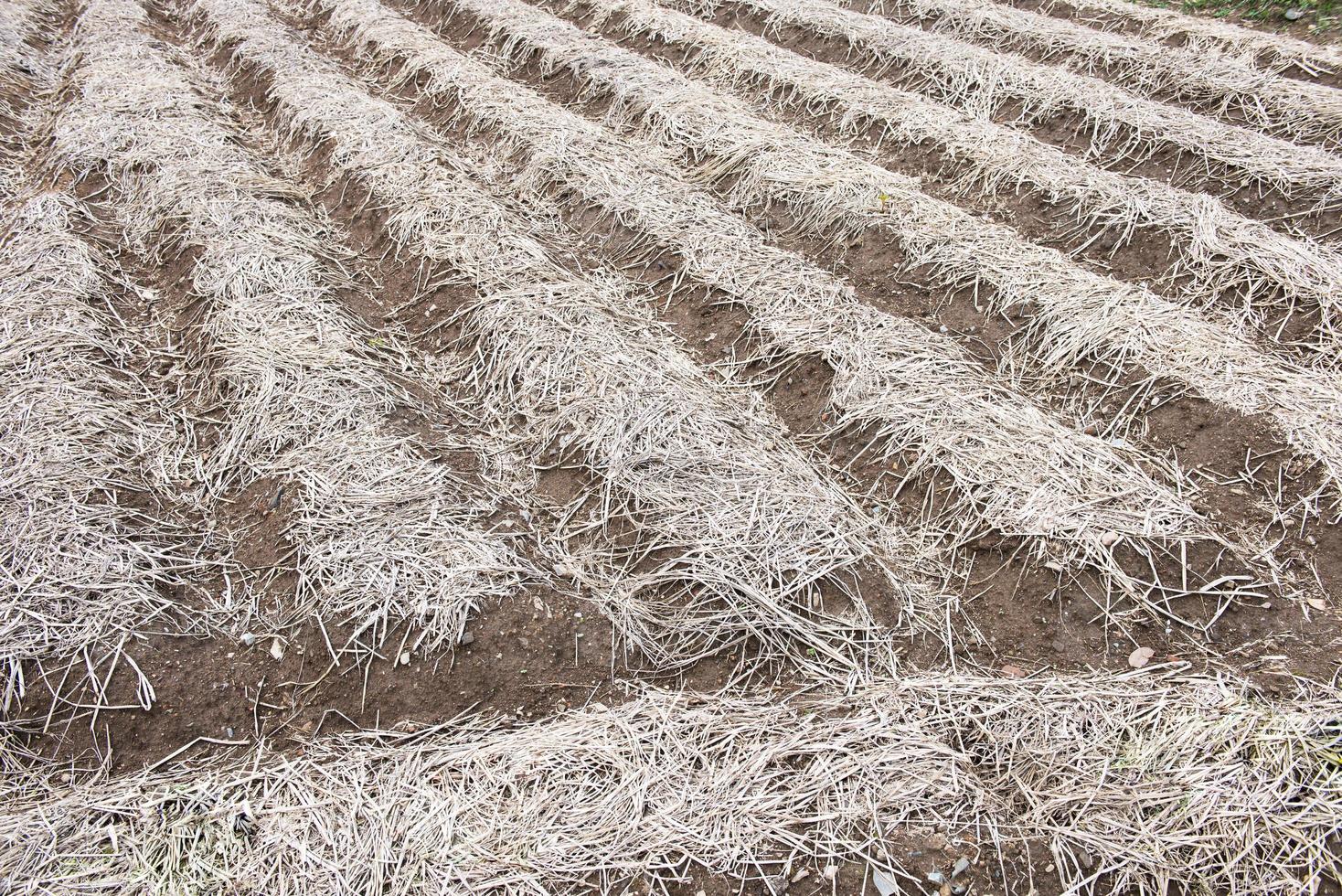 fundo do recentemente arado campo pronto para Novo cultivo foto