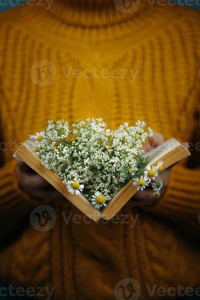 mulher segurando um livro com margaridas dentro foto