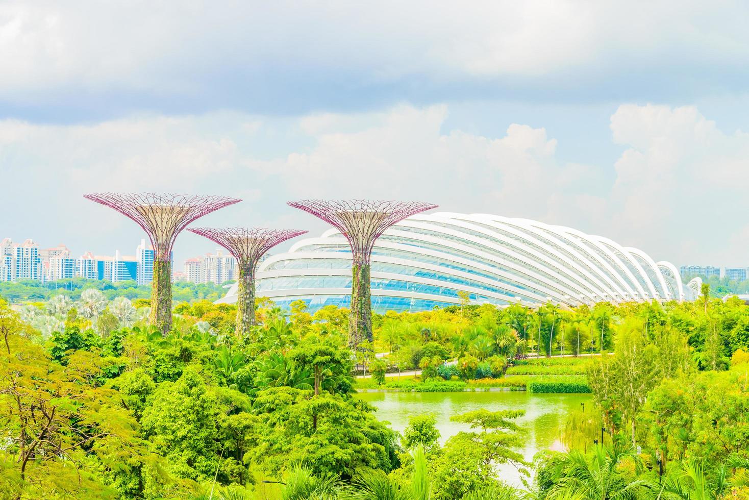 jardim da baía em Singapura foto