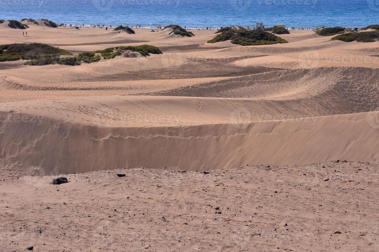 dunas de areia à beira-mar foto