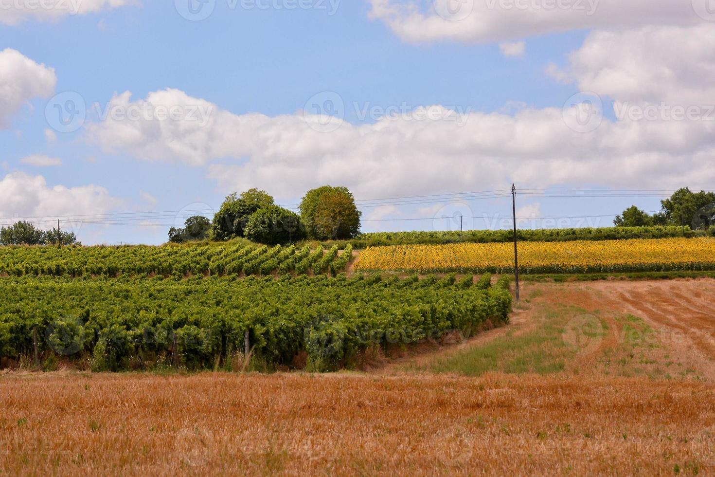 cênico rural panorama foto