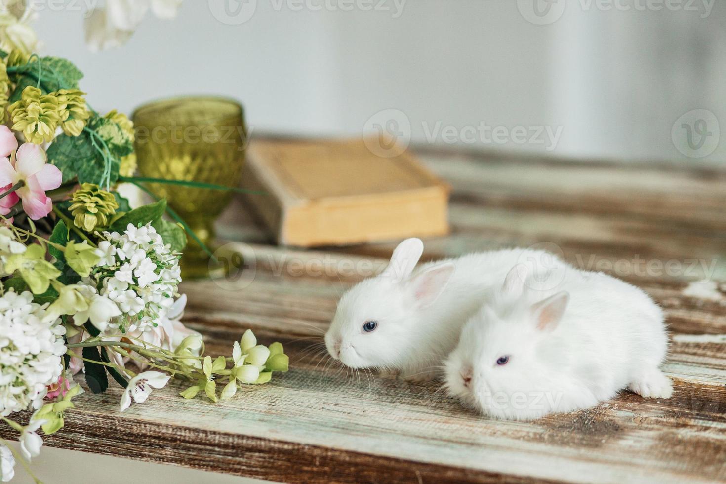 uma grupo do fofa Páscoa Coelho coelhos em a mesa dentro a vivo sala. lindo fofa animais de estimação. foto