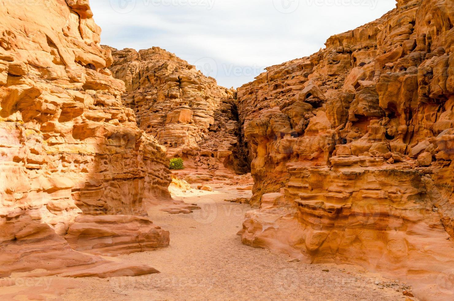 canyon em um deserto foto