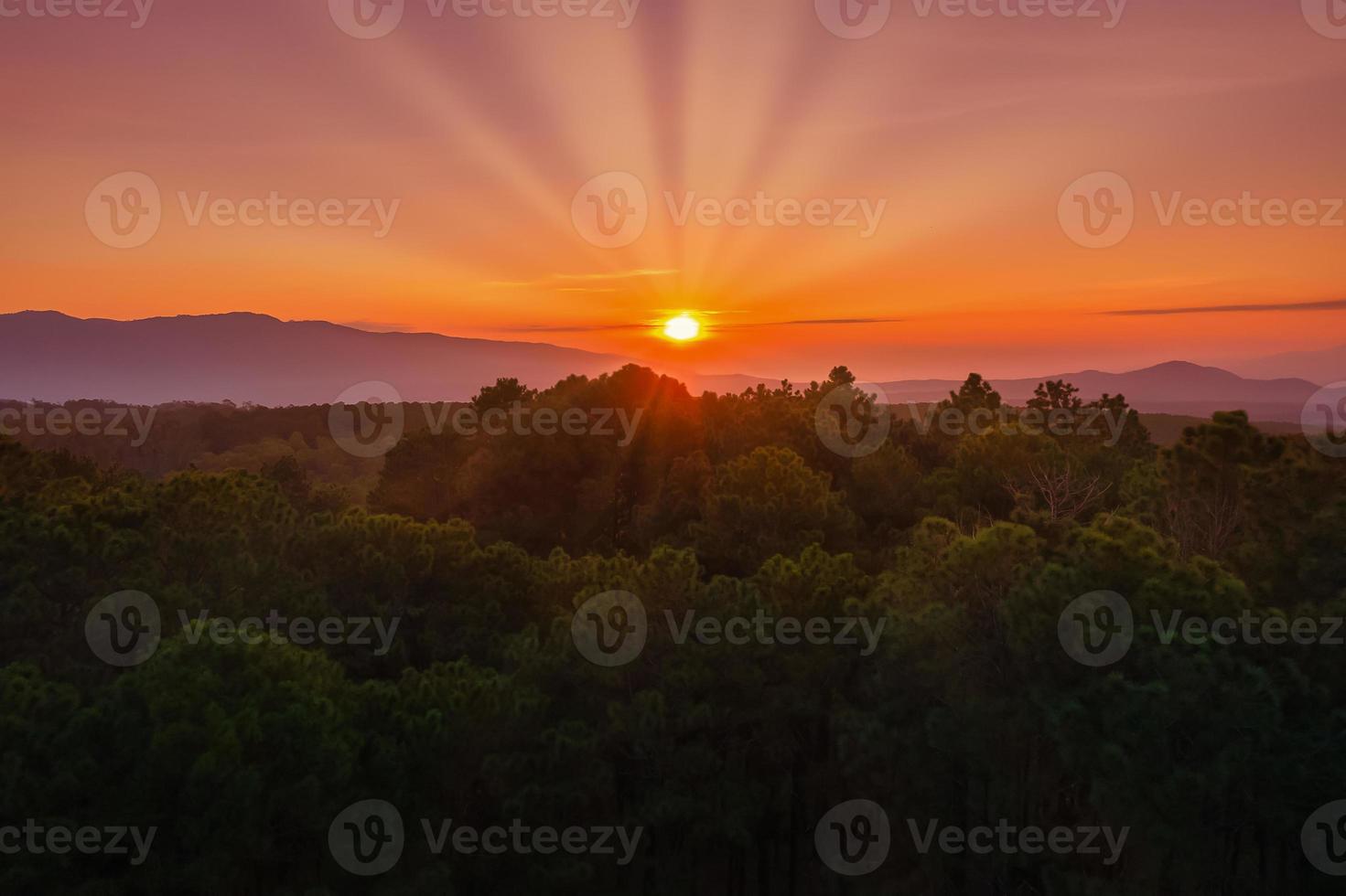 aéreo Visão do nascer do sol sobre mountian e pinho árvore dentro Chiang mai província, tailândia. foto