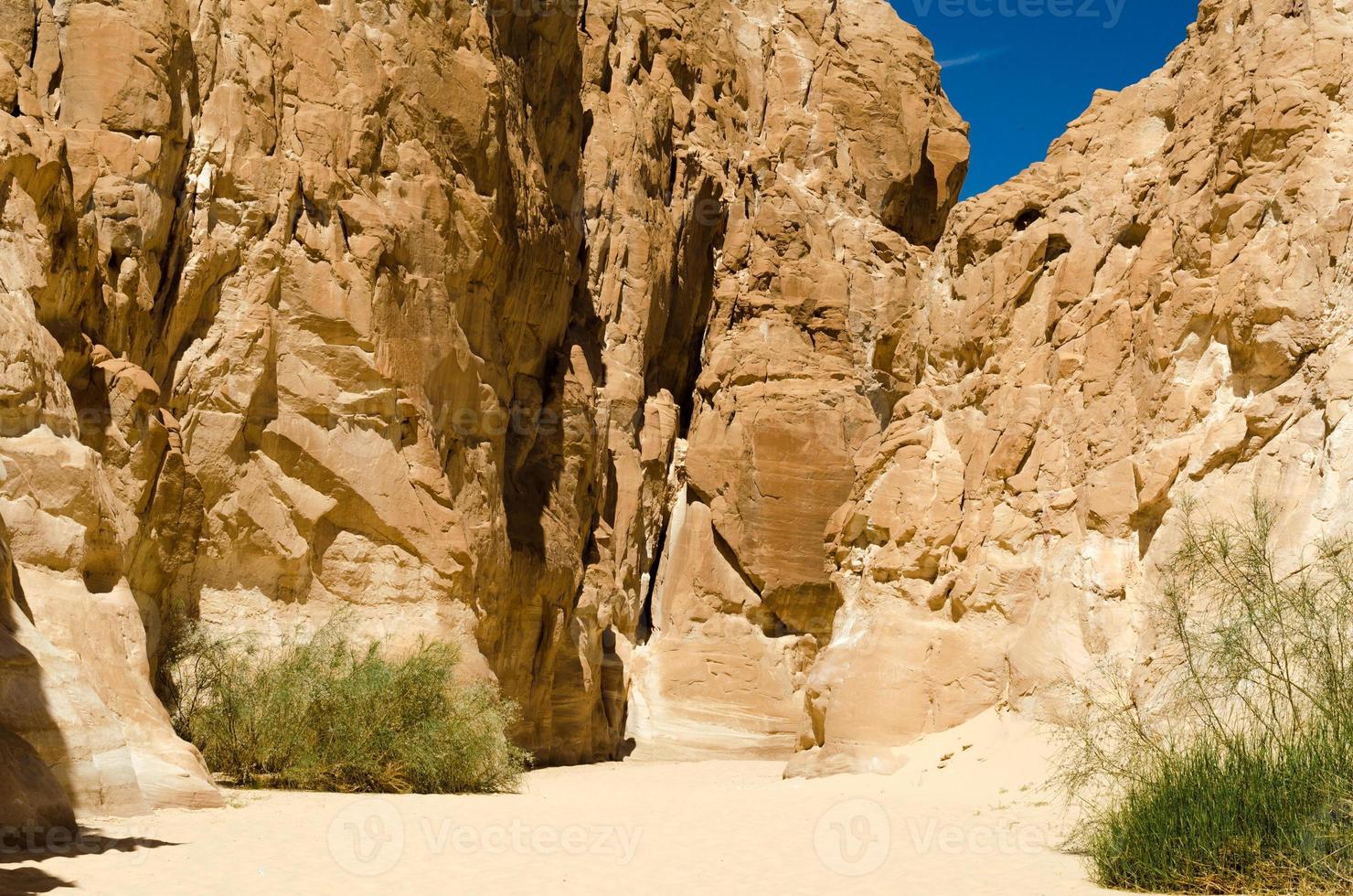 cânion deserto com penhascos de pedra altos foto