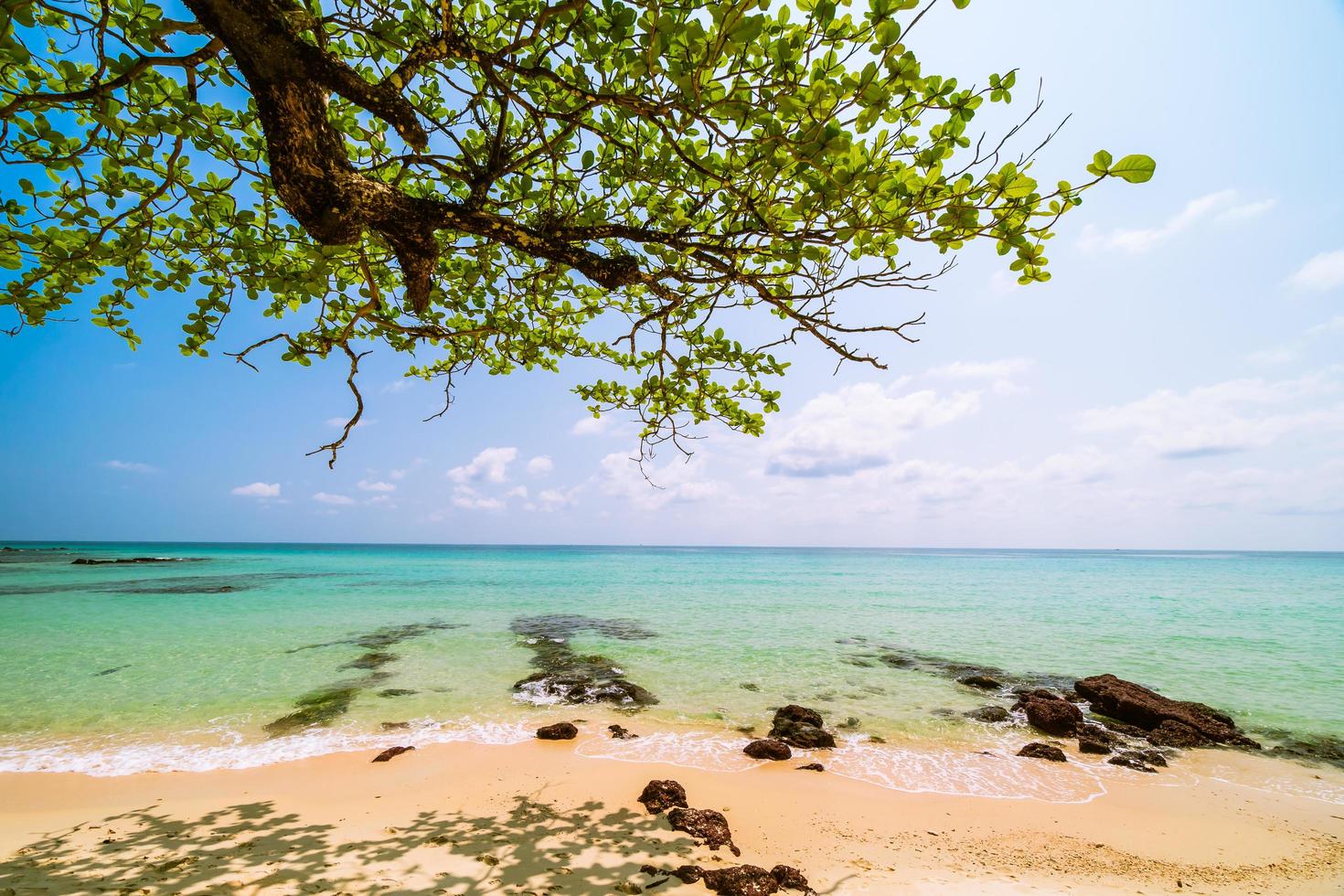 lindo paraíso tropical praia e mar foto