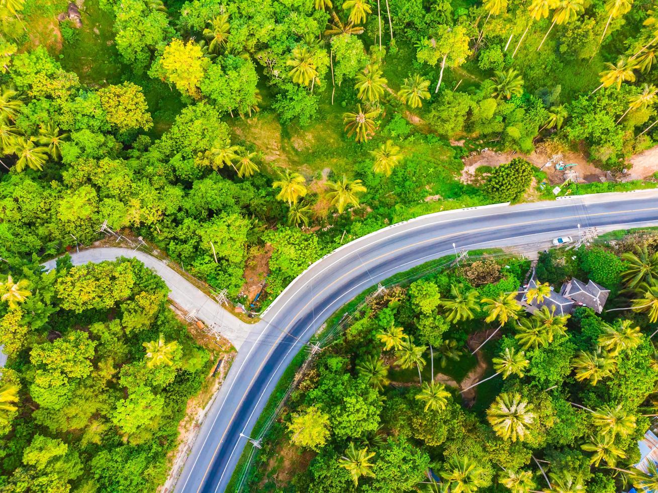vista aérea de uma estrada na floresta foto
