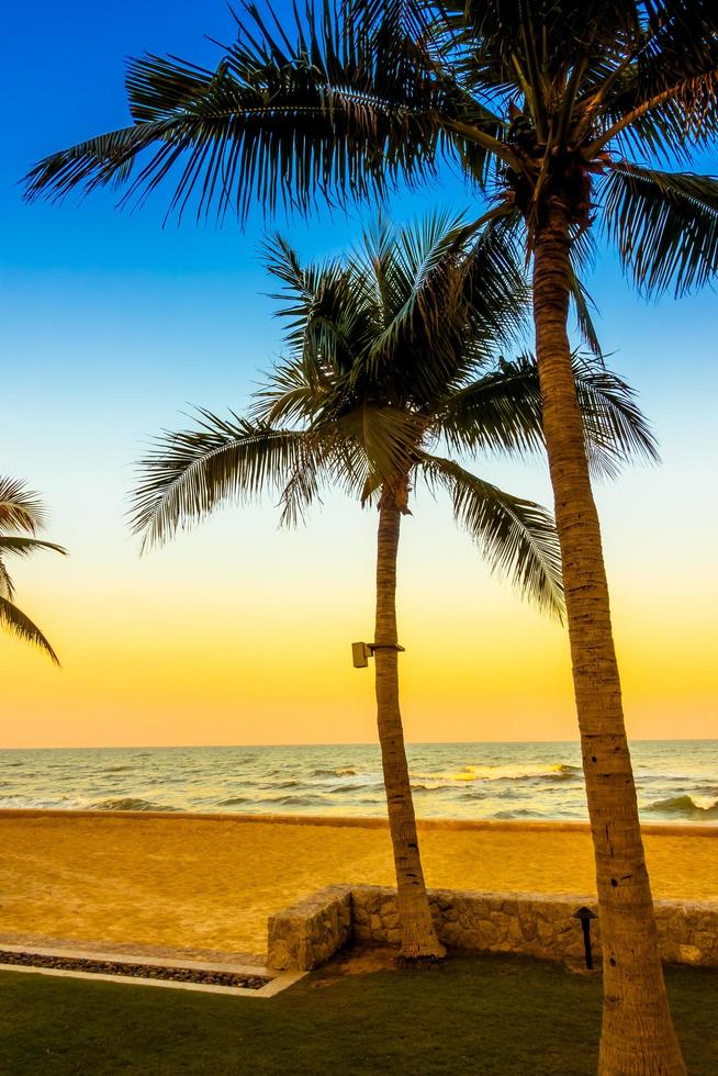 palmeira na praia foto