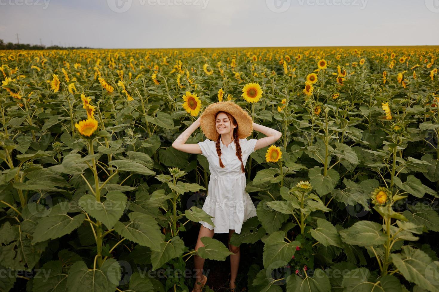 mulher retrato dentro uma Palha chapéu dentro uma branco vestir uma campo do girassóis agricultura verão Tempo foto