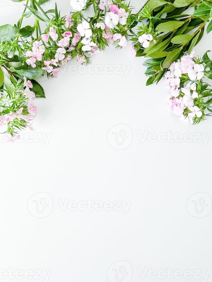 cravo-da-índia japonica e louro folhas. floral quadro, Armação foto