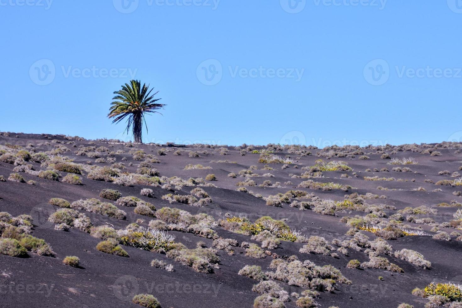 cênico rural panorama foto