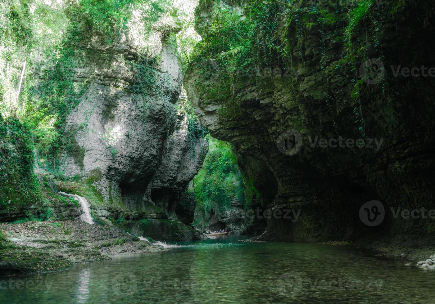 floresta verde com um riacho foto