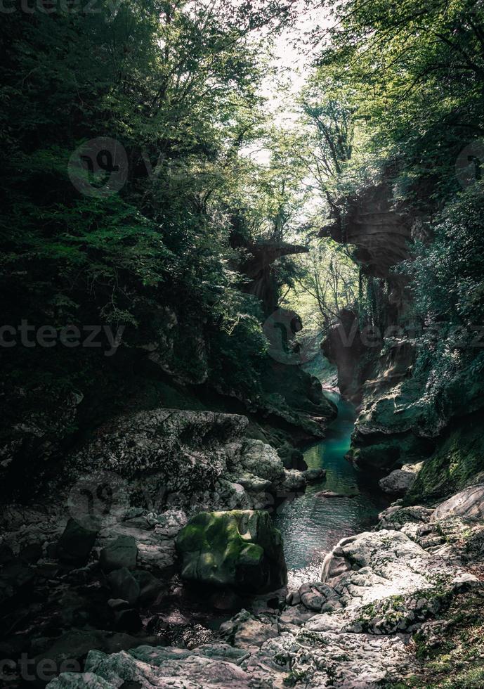 riacho e pedras em uma floresta foto