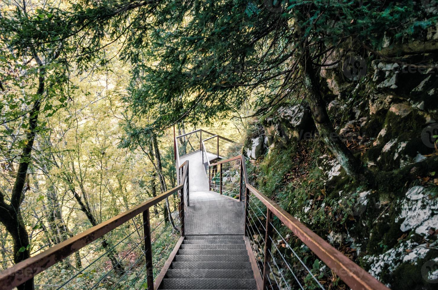 escada de metal em uma floresta foto