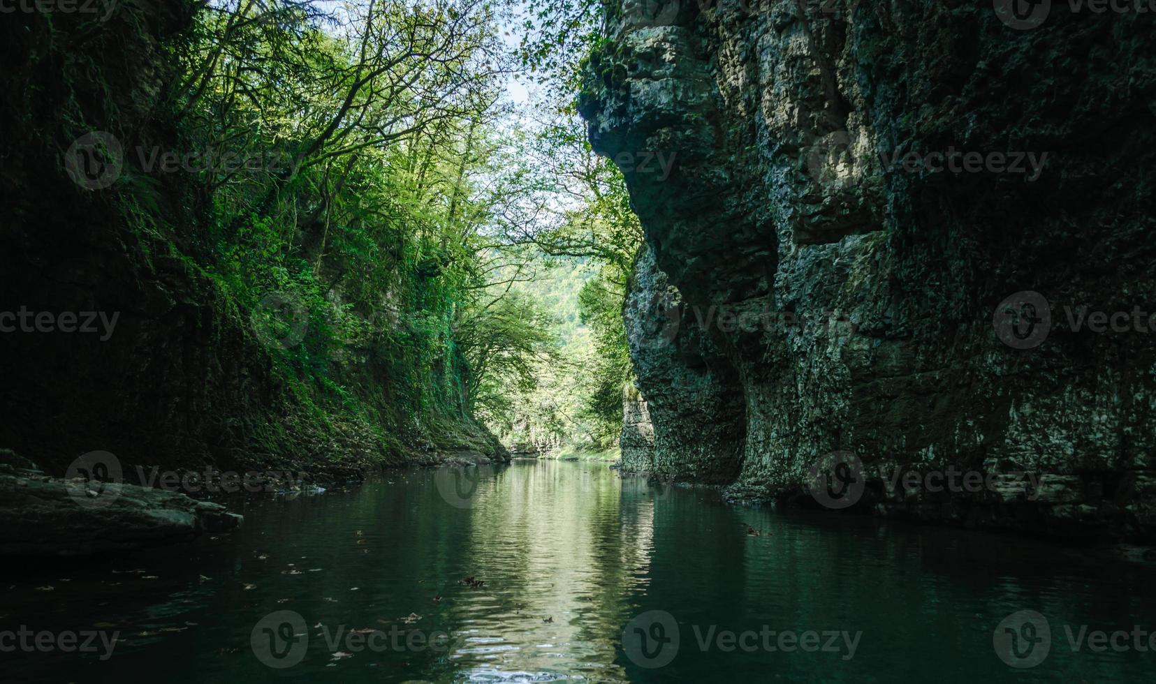 riacho em uma floresta escura foto